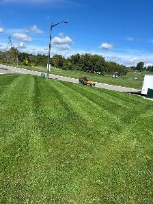 Sod mulch gardening