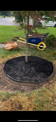 Sod mulch gardening - Photo 4
