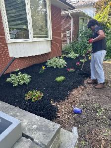 Sod mulch gardening - Photo 5