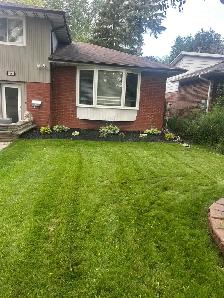 Sod mulch gardening - Photo 6