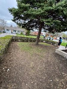Sod mulch gardening - Photo 9