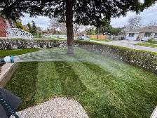 Sod mulch gardening - Photo 10
