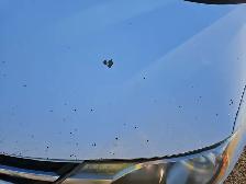 2015 Toyota RAV4 - Photo 31