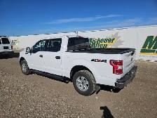 2019 Ford F-150 - Photo 3