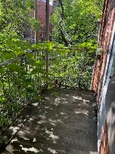 NDG, beau, tres grand 3 ½ Metro Snowdon, Villa Maria, immediate - Photo 10