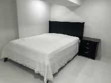 Walkout basement room, private washroom near Kennedy Station - Photo 4
