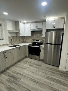 Kitchen Cabinets and Countertop