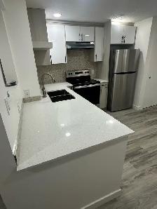 Kitchen Cabinets and Countertop - Photo 4