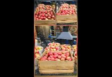 Pommes fraîches cueillies - Photo 5
