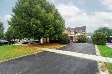 For Rent - 2 Beds 1 Bath - Photo 11