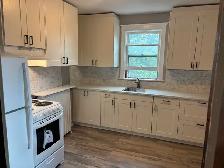 2 BR Prospect South/Main - Photo 7