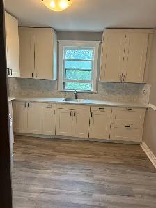 2 BR Prospect South/Main - Photo 11
