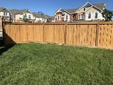 Fence Installations or Replacements in Discounted Price
