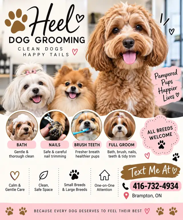 Dog grooming