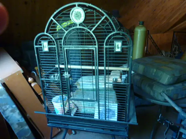 Grande cage rétro/victorienne haut de gamme en fer forgé