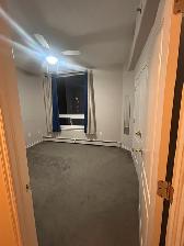 2 Bed, 2 Bath, & Den Condo for Rent $2,450/month - Photo 5