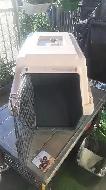 DOGLOO MEDIUM 250 DELUXE KENNEL - Photo 3
