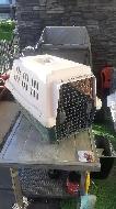 DOGLOO MEDIUM 250 DELUXE KENNEL - Photo 5