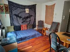 Appartement 1 et demi à sous-louer pour 6 mois - Photo 2