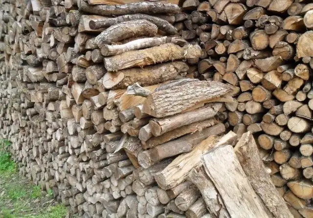 Bois de chauffages