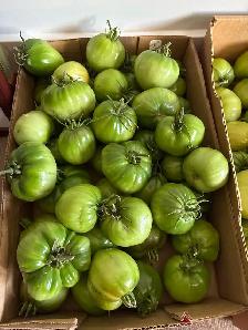 garden vegetables and Garlic Dill Pickles - Photo 4