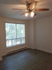 BACHELOR/STUDIO APARTMENTS WITH PRIVATE ENTRANCE IN A HOUSE - Photo 4