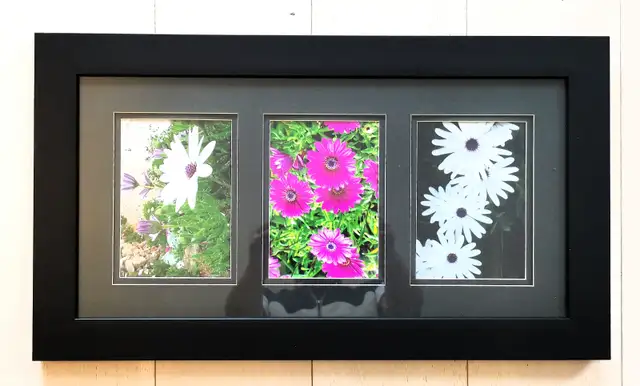 Flowers Painting