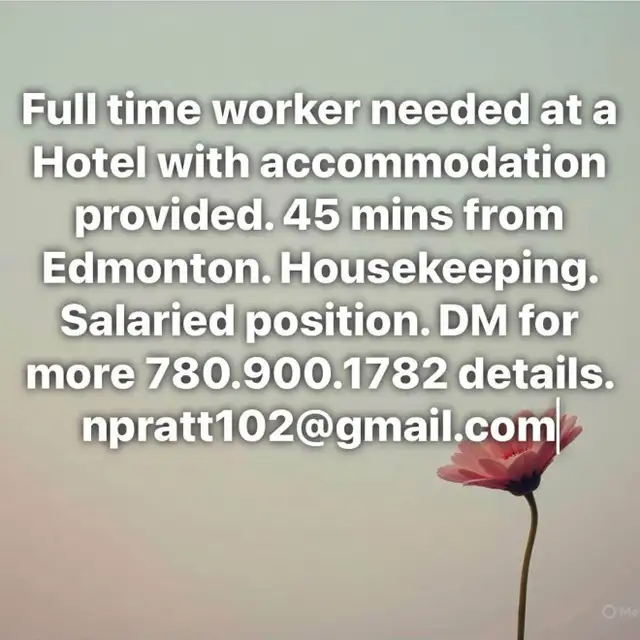 Housekeeping/front desk