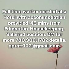 Housekeeping/front desk