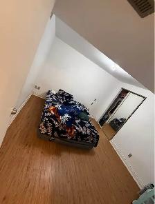 2 Bed 1 Bath Basement - Photo 6
