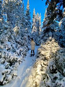 Winter Cottage Rental - Photo 13