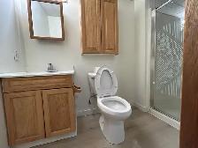 Basement - Photo 4