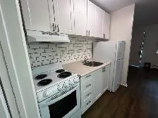 Fully Renovated 1 Bedroom Suite — All Inclusive - Photo 10