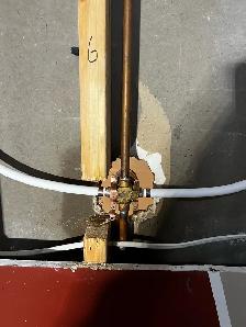 Poly-B Replacement | City Permit | 5-Year Warranty - Photo 6
