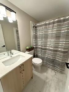 Spacious 4 1 Bed, 4 Bath | Corunna | Garage & Finished Basement - Photo 9