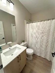 Spacious 4 1 Bed, 4 Bath | Corunna | Garage & Finished Basement - Photo 16