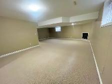 Rapids Parkway- Immaculate 5 Bedroom Home - Photo 17