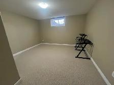 Rapids Parkway- Immaculate 5 Bedroom Home - Photo 20