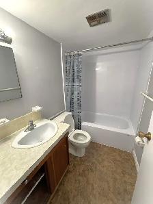 Bright 1-Bed Apartment in a Prime Location – All Inclusive! - Photo 12