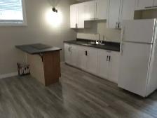 Handyman Services - Photo 7