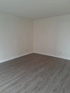 Great Price! Renovated 1 Bedroom! All Utilities Included! - Photo 2