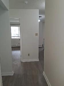 Great Price! Renovated 1 Bedroom! All Utilities Included! - Photo 4