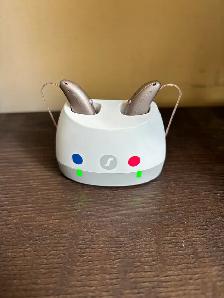 Signia BCT 7ix Hearing Aids