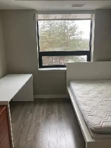 ROOM AVAILABLE IN BEAUTIFUL SOLSTICE 1 CONDO IN GUELPH! - Photo 2