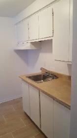 4 1/2 - Ahuntsic - Ville Saint-Laurent - Cartierville - Photo 4