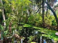 House for sale Homosassa - Florida USA - Photo 12