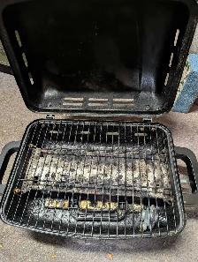 Portable Propane BBQ - Photo 3