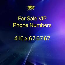 Say Yes! To an easy to remember phone number! 416,647,905,437