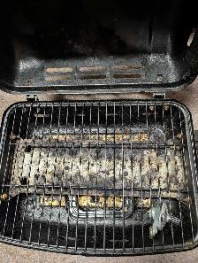 Portable Propane BBQ - Photo 4