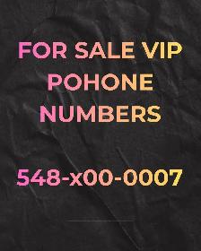 416,647,905 Numbers x000,0000x, 1111,2222,786,00000,1313